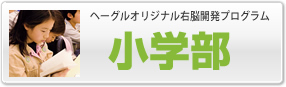 ヘーグルオリジナル右脳開発プログラム 小学部