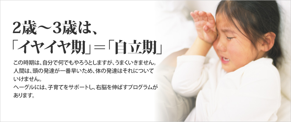  2歳〜3歳は、 「イヤイヤ期」＝「自立期」  この時期は、自分で何でもやろうとしますが、うまくいきません。 人間は、頭の発達が一番早いため、体の発達はそれについていけません。 ヘーグルには、子育てをサポートし、右脳を伸ばすプログラムがあります。    