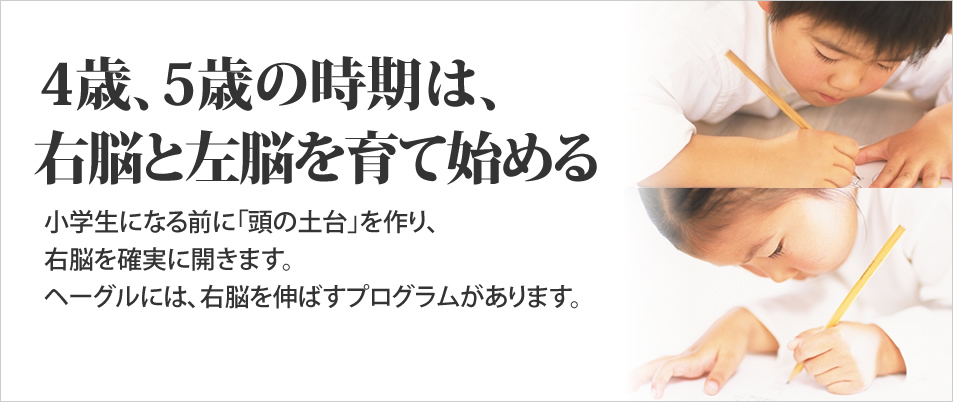 4歳、5歳の時期は、右脳と左脳を育て始める　小学生になる前に「頭の土台」を作り、右脳を確実に開きます。ヘーグルには、右脳を伸ばすプログラムがあります。