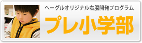 ヘーグルオリジナル右脳開発プログラム プレ小学部